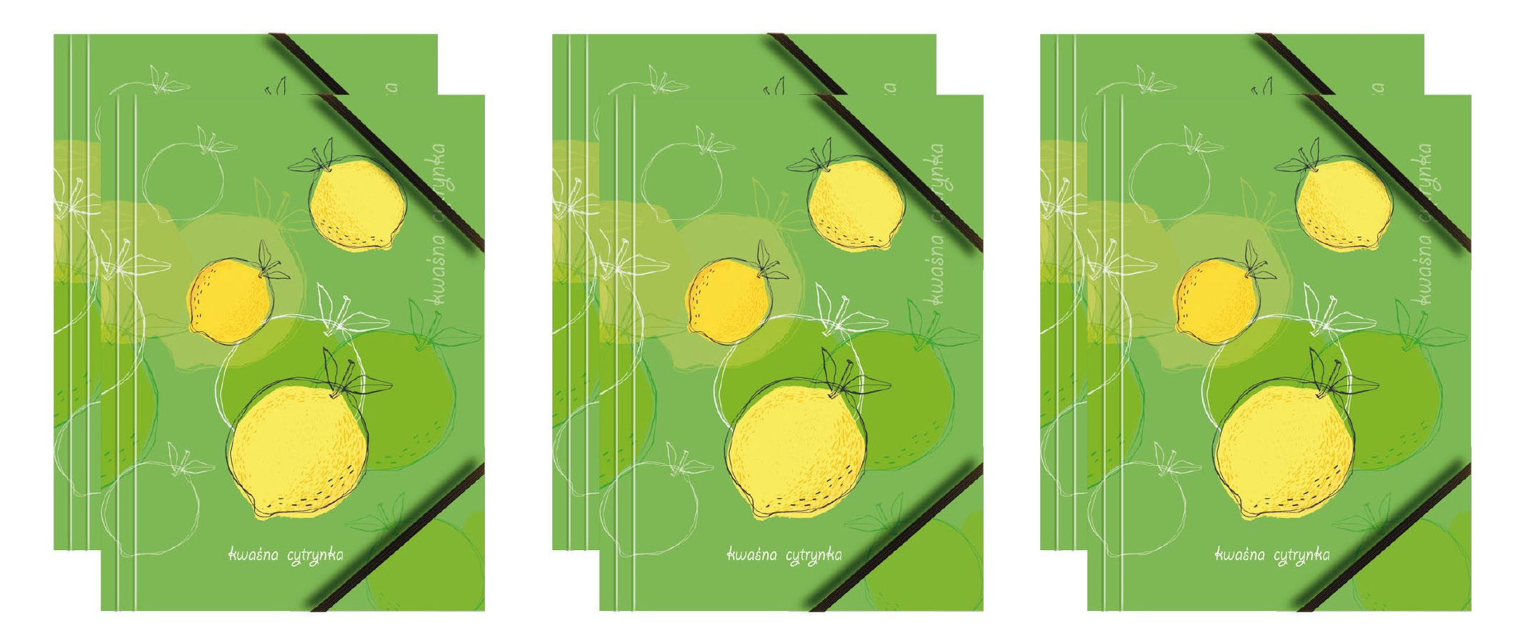 Teczka kartonowa z grafiką i gumką BT601-A1